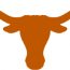 texas longhorns