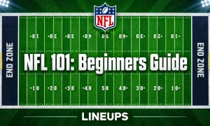 how nfl works beginners guide
