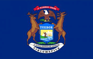 Michigan Flag