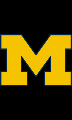 Michigan Logo Draft Size