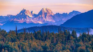 Alaska Sports Betting Bill Back In The Mix For 2026