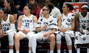 Lynx Bench