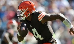 deshaun watson