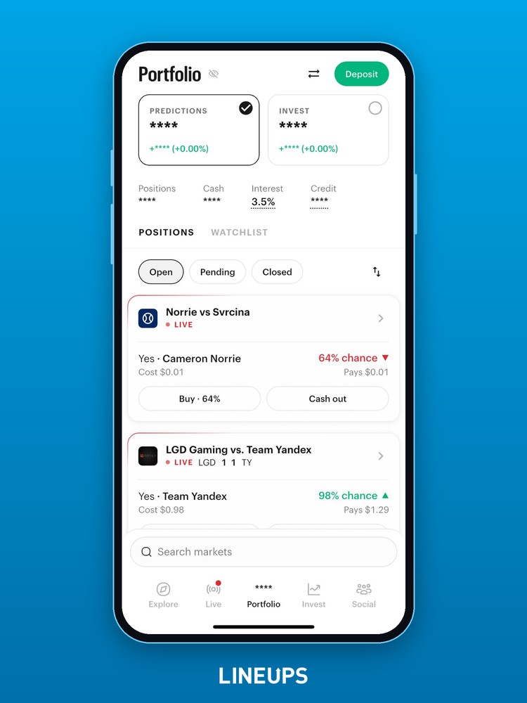 Portfolio privacy mode